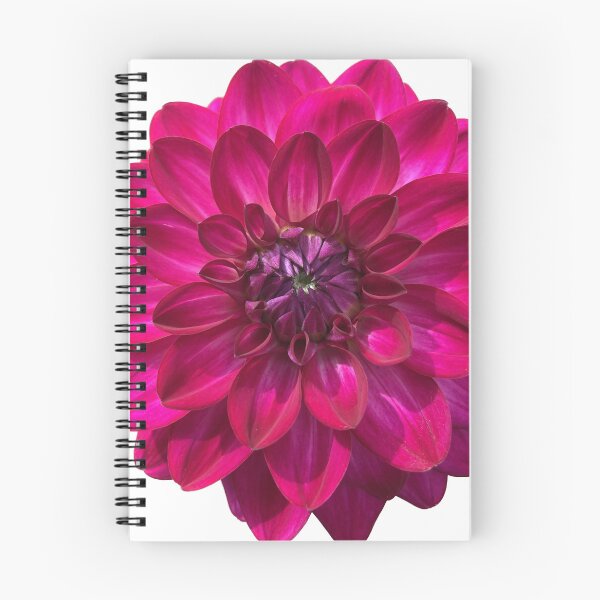 Item preview, Fabulous Dahlia Flower from a tuber designed and sold by crazyclover.
