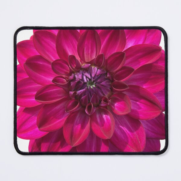 Item preview, Fabulous Dahlia Flower from a tuber designed and sold by crazyclover.
