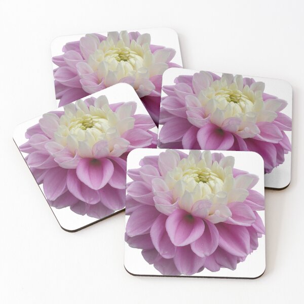 Item preview, Fluffles Dahlia Flower from tuber designed and sold by crazyclover.