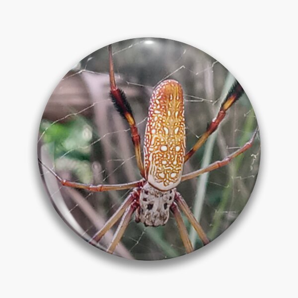 Item preview, Golden silk spider waiting patiently  designed and sold by Bmusicjr.
