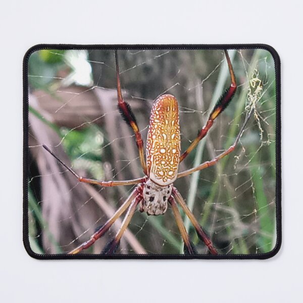 Item preview, Golden silk spider waiting patiently designed and sold by Bmusicjr.