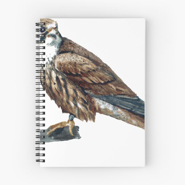 Item preview, Kestrel Bird designed and sold by phillipbooth.