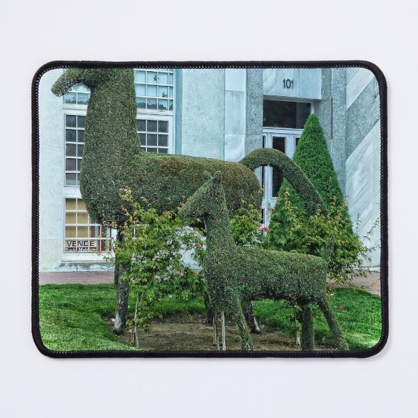 Item preview, Horse Topiary designed and sold by Ladydi.