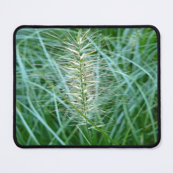 Item preview, Flowering Grass Spike designed and sold by Ladydi.