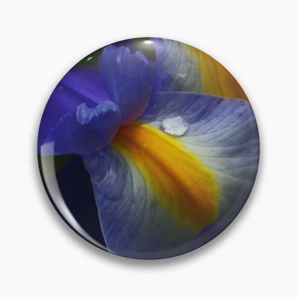 Item preview, Iris holandés designed and sold by ShutterlyPrfct.