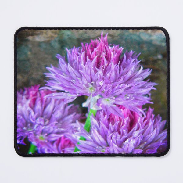 Item preview, Chive Heads Vintage designed and sold by Ladydi.
