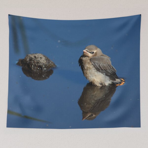 Item preview, Bath Time     |    Nature designed and sold by RedHandedOD.