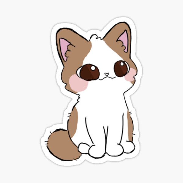 Pop Cat Stickers – Bunhiry