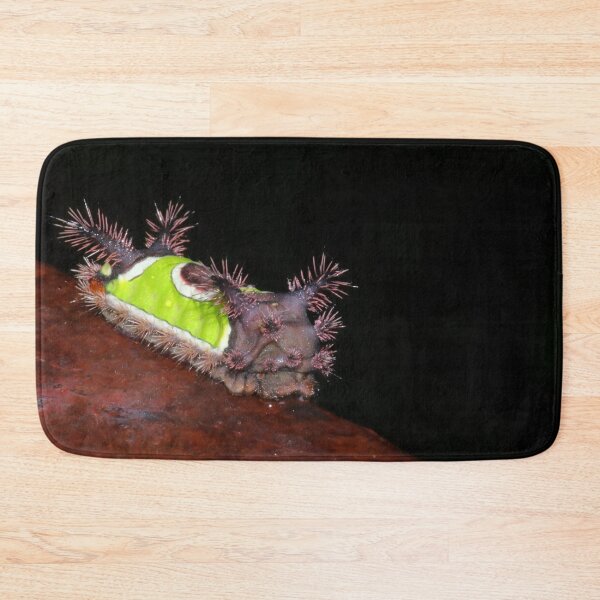 Item preview, Saddleback Caterpillar   |   Nature designed and sold by RedHandedOD.
