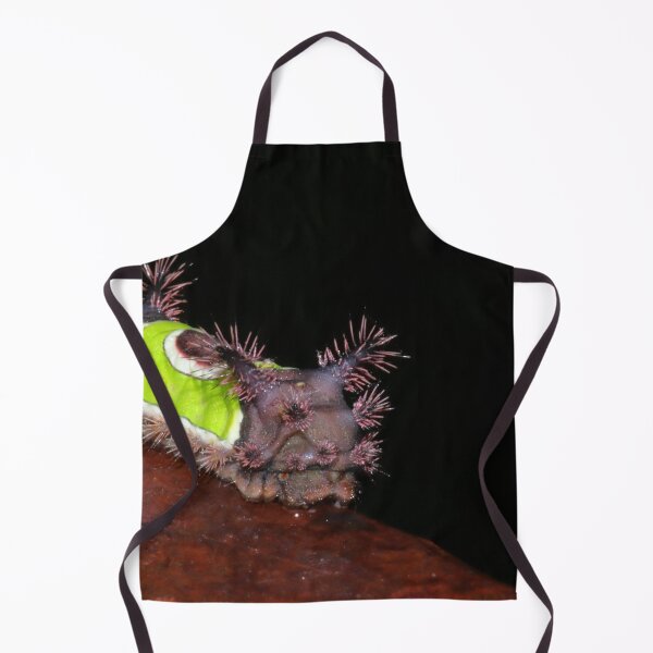Item preview, Saddleback Caterpillar   |   Nature designed and sold by RedHandedOD.