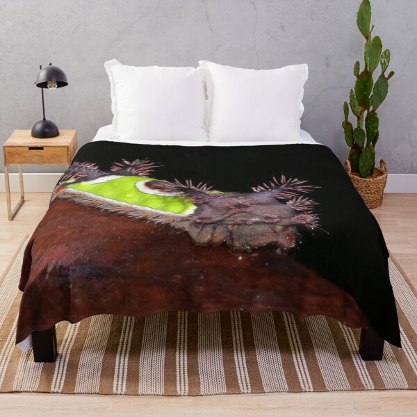 Item preview, Saddleback Caterpillar   |   Nature designed and sold by RedHandedOD.