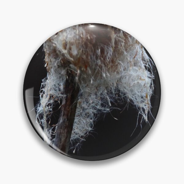 Item preview, Cattail    |   Nature designed and sold by RedHandedOD.