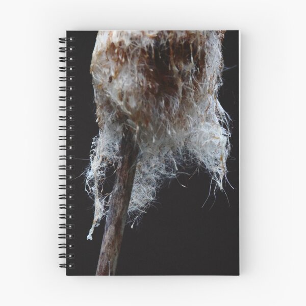 Item preview, Cattail    |   Nature designed and sold by RedHandedOD.