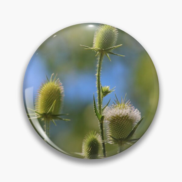 Artikelvorschau, Gezackte Distel | Natur entworfen und verkauft von RedHandedOD.
