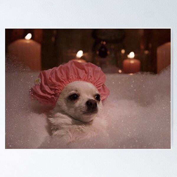 Item preview, Bath Doggo designed and sold by romeobravado.