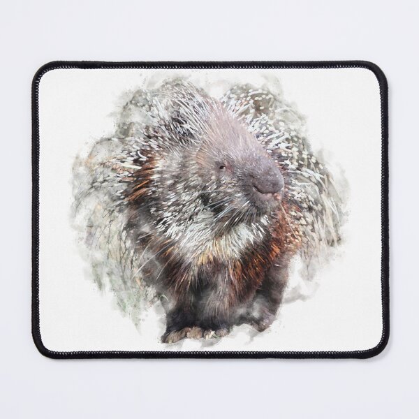 Artikelvorschau, Stachelschwein-Aquarell-Grafik entworfen und verkauft von Typeglyphs.