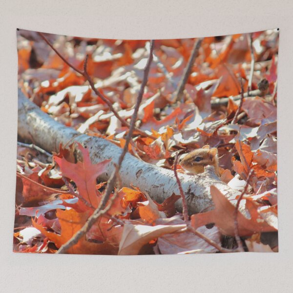 Item preview, Chipmunk Freeze Tag | Nature designed and sold by RedHandedOD.