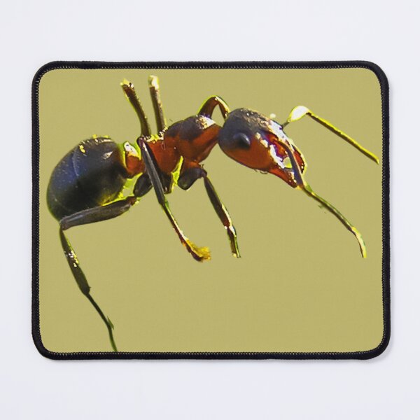Item preview, Amazing Ant designed and sold by RainbowSpinkle.