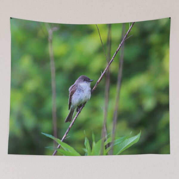 Item preview, Eastern Phoebe    |    Nature designed and sold by RedHandedOD.