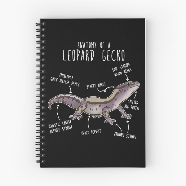 Item preview, Lavender Stripe Leopard Gecko Lizard Reptile Anatomy designed and sold by Clara Hollins.