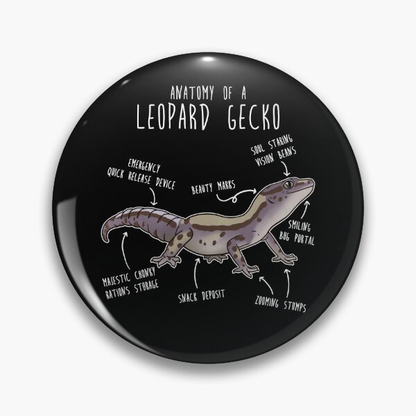 Item preview, Lavender Stripe Leopard Gecko Lizard Reptile Anatomy designed and sold by Clara Hollins.