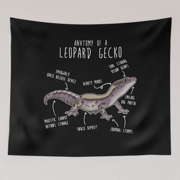 Item preview, Lavender Stripe Leopard Gecko Lizard Reptile Anatomy designed and sold by Clara Hollins.