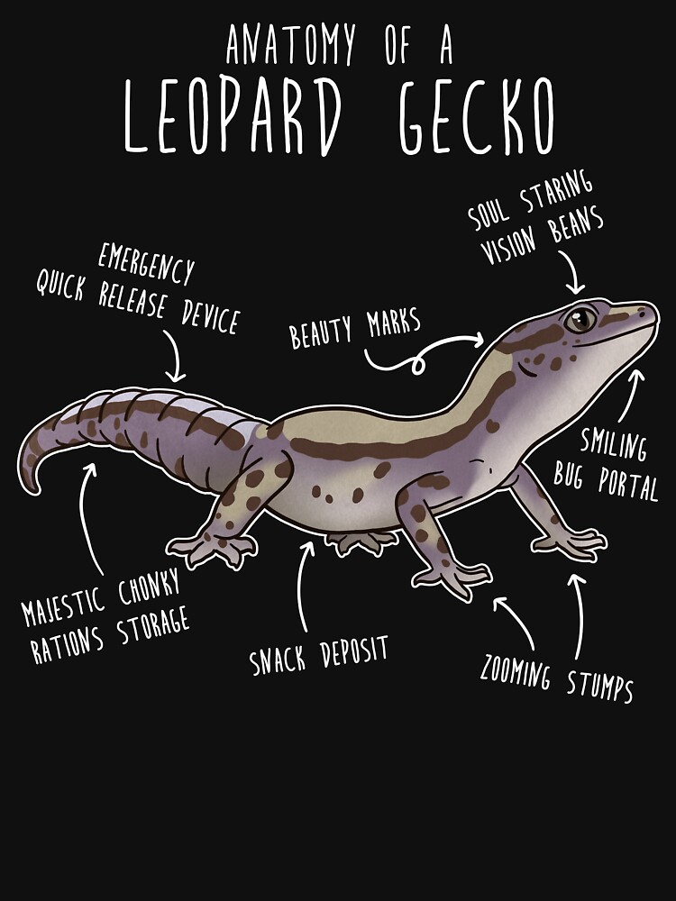 Leopard 2024 gecko essentials