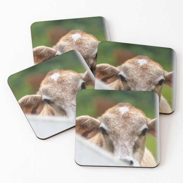 Item preview, the little calf behind the fence designed and sold by ricobarinas.