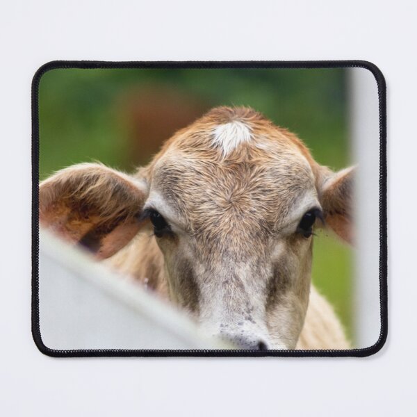 Item preview, the little calf behind the fence designed and sold by ricobarinas.