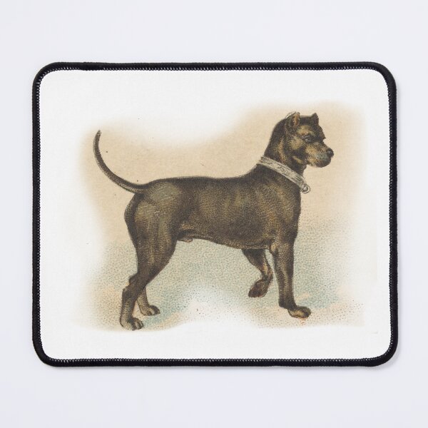 Item preview, German Mastiff, from the Dogs of the World series for Old Judge Cigarettes designed and sold by EnR-designs.
