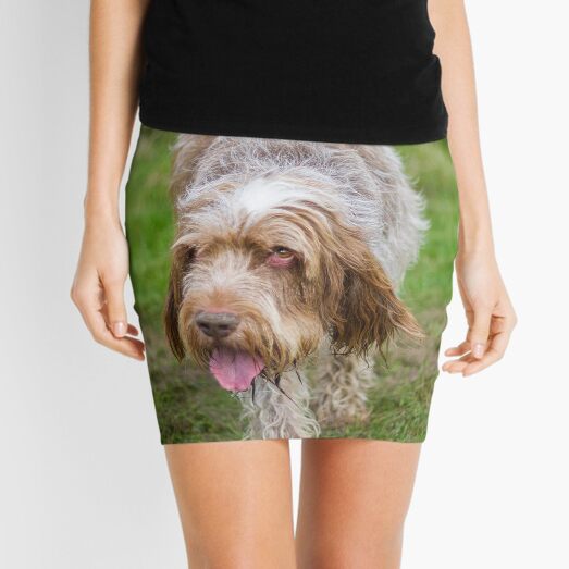 Brown Roan Italian Spinone Dog Mini Skirt