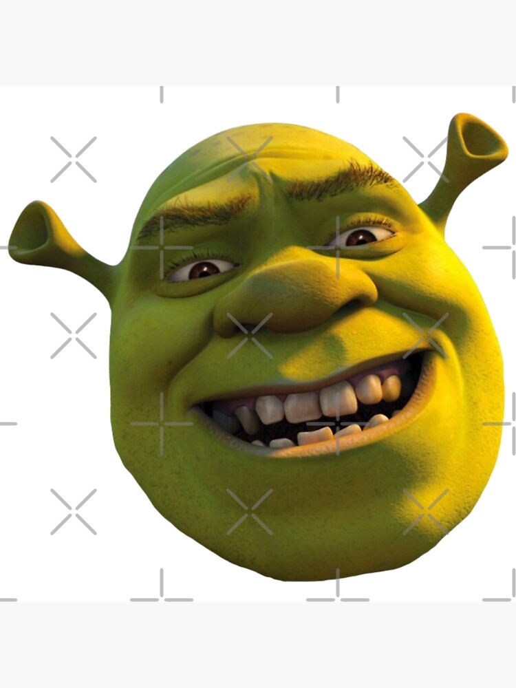 Shrek's funny face [1000x1000] : r/MemeRestoration