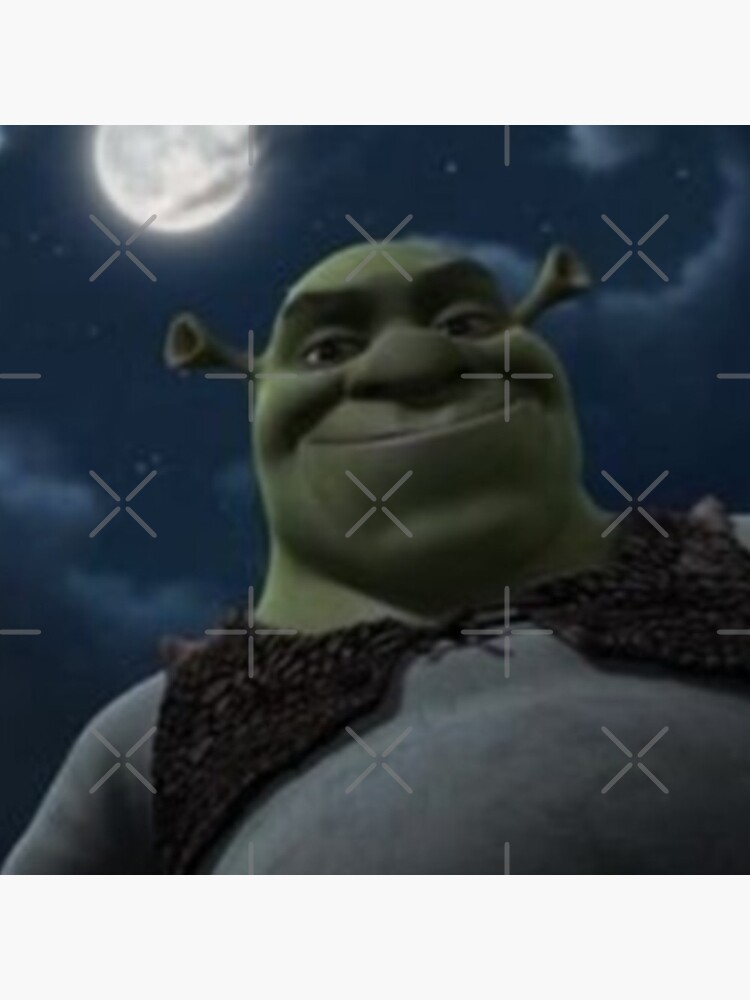 Pin on Funny Shrek memes