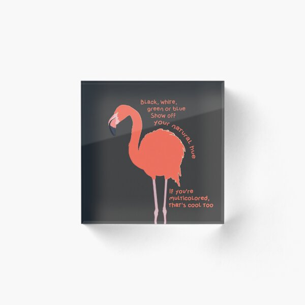 Flamingo Shrimp Song