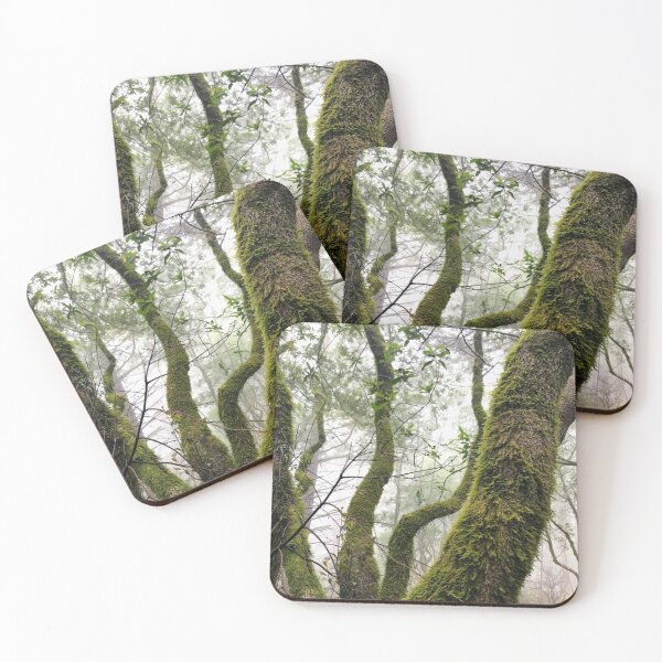 Item preview, Muir Woods Moss designed and sold by emikat-art.