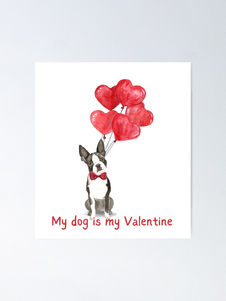 Boston Terrier (Dog With Heart Balloons Illustration
