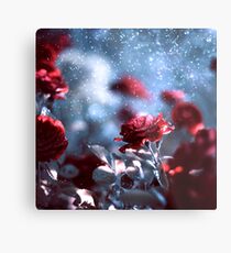Roses Metal Print