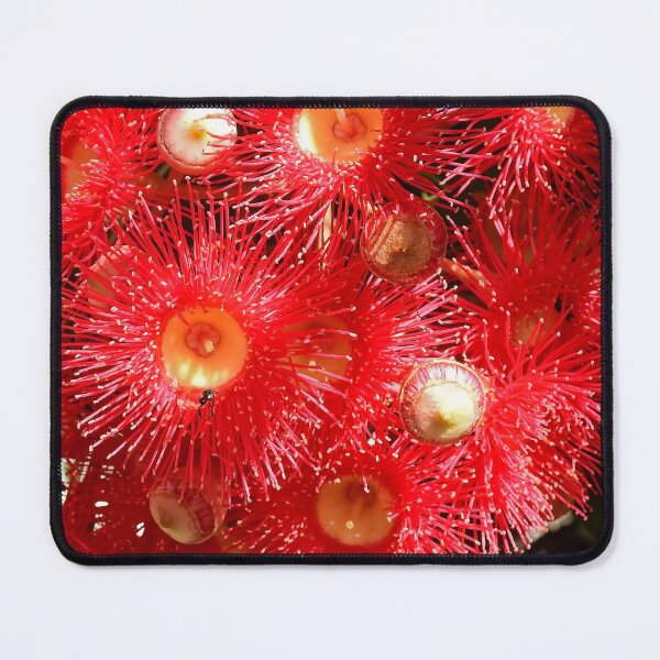Item preview, Bloodwood Tree Flowers designed and sold by AussieAl.