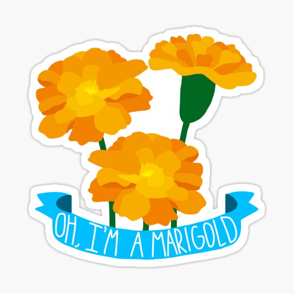 Marigold Flower Sticker Sheet — Studio Chamisa