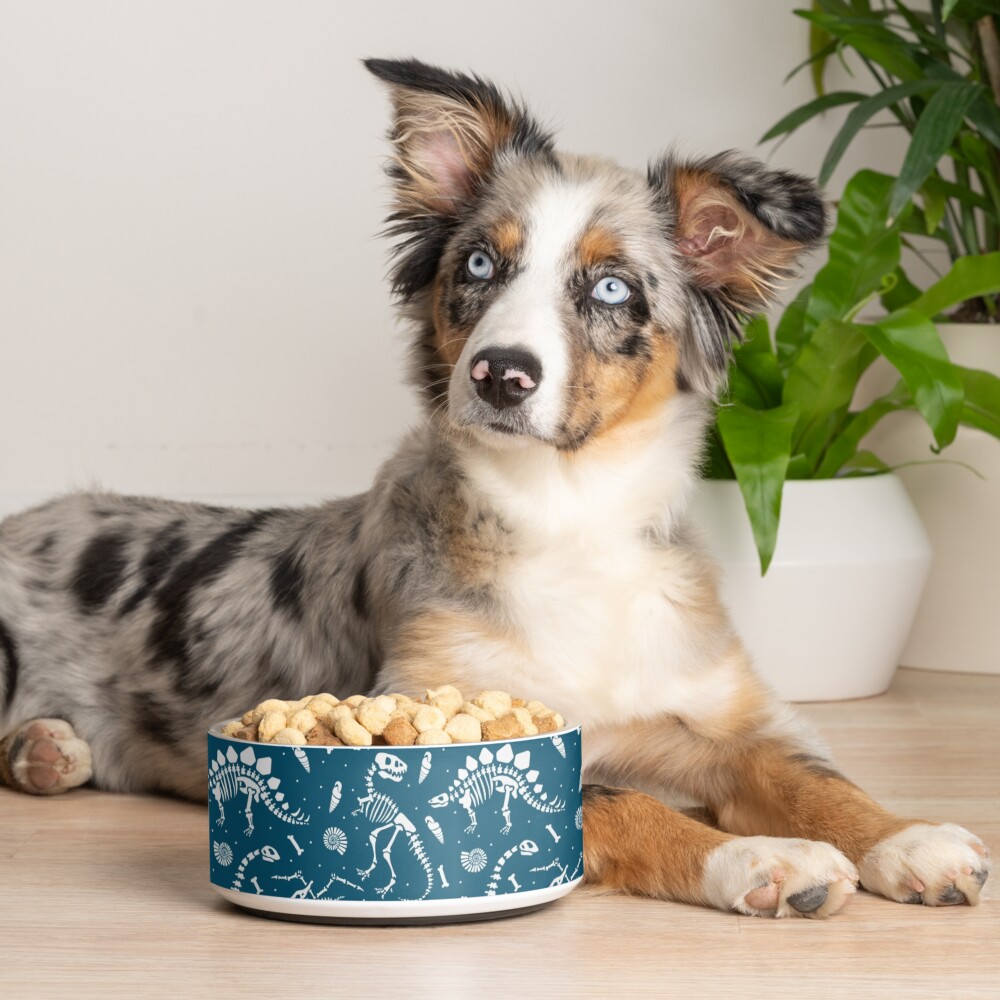 Dinosaur Fossils in Blue Pet Bowl