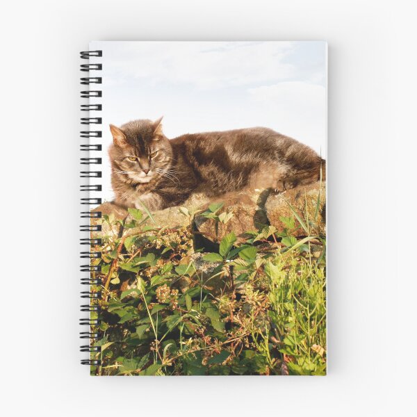 Item preview, Purr designed and sold by ernest123.