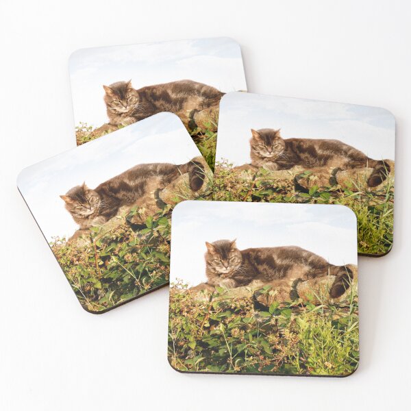 Item preview, Purr designed and sold by ernest123.