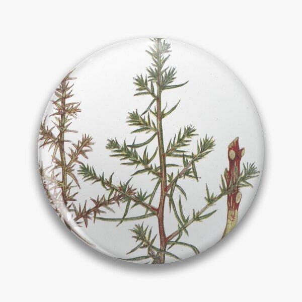 Item preview, Russian Thistle designed and sold by Ashleigh Bell.