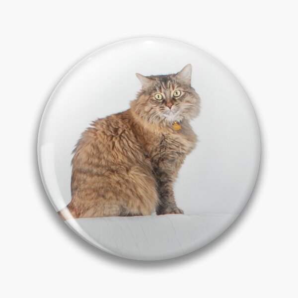 Item preview, Kitty sitting on a dresser designed and sold by Baymare.