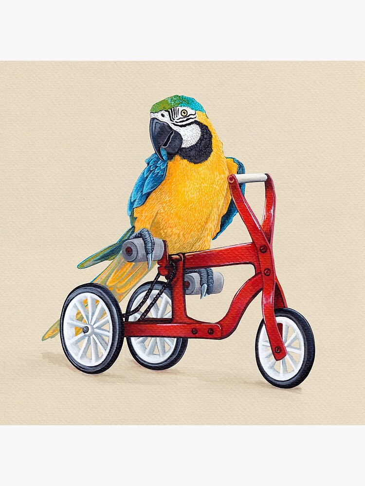 Thumbnail 4 of 4, Pillow, Parrot Macaw bike red designed and sold by Ruta.