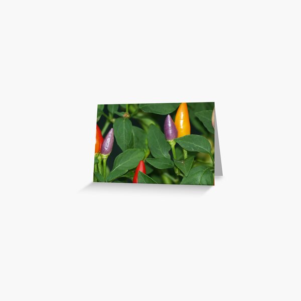 Item preview, Chillies designed and sold by slim6y.