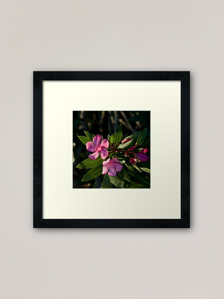 Alternate view of Pink Oleander Framed Art Print