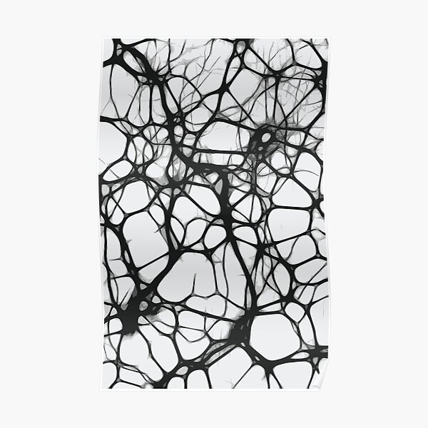 Web de neuronas Póster