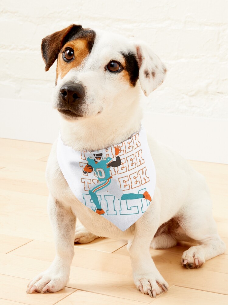 Denver Broncos Pet Collar Bandana