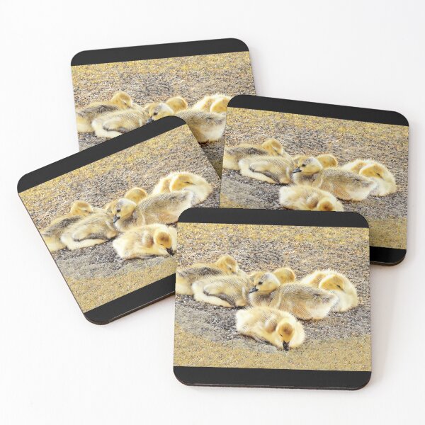 Item preview, Goslings-1 designed and sold by MaryLinH.